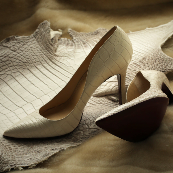 Ivory Enduring